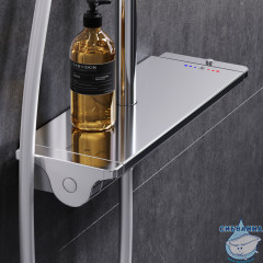 Душевая система Am.Pm Spirit V2.0 250 1 режим F0770A400 (хром)