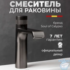 Смеситель для раковины Calypso CS10121-9 (графит)