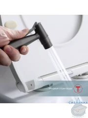 Встраиваемый смеситель Raglo R20.52.09 с гигиеническим душем (графит)