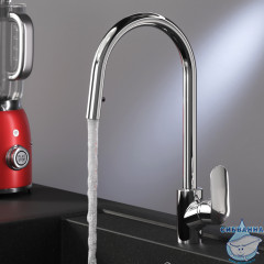 Смеситель для кухни AM.PM Like F8012000 (хром)