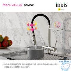 Смеситель для кухни с фильтром и гибким изливом, сатин, Ace, IDDIS, ACEBNFFi05