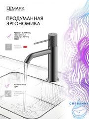 Смеситель для раковины Lemark Карелия LMF-2012S-GM (графит)