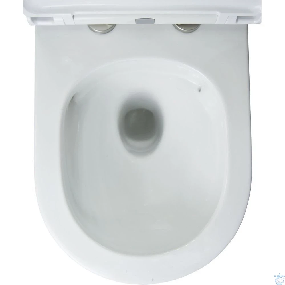 Инсталляция для унитаза Charus CC.300.80.01 с кнопкой смыва Charus Raiden FP.321.WBN.01 белый/хром,  с унитазом LYon 2.0 (с сиденьем Soft Close (микролифт)