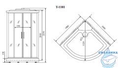 Душевая кабина Timo Standart T-1101 100х100
