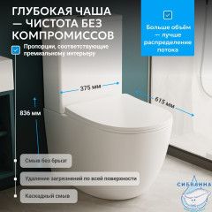 Унитаз напольный Abber Bequem AC1110 с бачком и сиденьем Soft Close (микролифт)