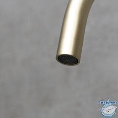 Смеситель для кухни Lemark Expert LM5079LGN (матовое золото)