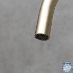 Смеситель для кухни Lemark Expert LM5079LGN (матовое золото)