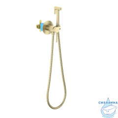 Смеситель с гигиеническим душем Aquatek Европа AQ1021BG (золото шлифованное)