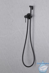 Встраиваемый смеситель с гигиеническим душем ABBER Wasser Kreis AF8125B (черный матовый )