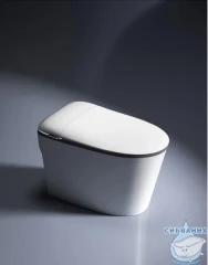 Унитаз приставной безободковый SantiLine SL-5036 с сиденьем Soft Close (микролифт) (может работать при низком давлении воды)