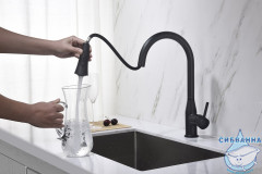 Смеситель для кухни Timo Saona 2336/03FL (черный матовый)