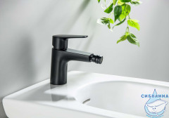 Смеситель для биде Aquatek Бетта AQ1118MB (черный матовый)