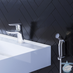 Смеситель с гигиеническим душем Damixa Jupiter 770300001 (хром)