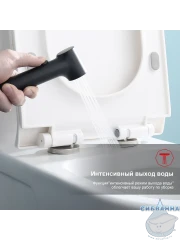 Встраиваемый смеситель Raglo R03.53.06 с гигиеническим душем (черный)