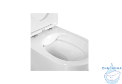 Унитаз подвесной безободковый Aquatek Европа AQ1901-00 (с сиденьем Soft Close (микролифт)
