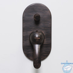 Встраиваемый смеситель для ванны WasserKRAFT Isar 1361 (черная бронза)