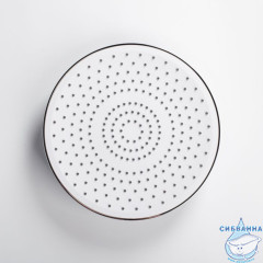 Лейка для душа, Rora, хром, IDDIS, 978MIC21SM