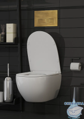 Унитаз подвесной безободковый TONI ARTI Baglio TA-BO4936 с сиденьем Soft Close (микролифт)