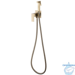 Встраиваемый смеситель с гигиеническим душем ABBER Daheim AF8226G (золото матовое)