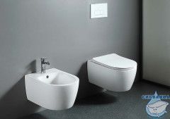 Унитаз подвесной безободковый Aquatek Европа AQ1106L-00 с сиденьем Soft Close (микролифт)
