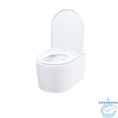 Унитаз подвесной безободковый Iddis Stone STORNSEi25 с сиденьем Soft Close (микролифт)