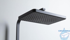 Душевая система Allen Brau Infinity 310 1 режим 296316 (черный матовый)