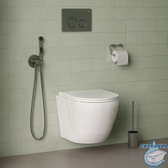 Встраиваемый смеситель с гигиеническим душем, сатин, IDDIS, 003BNR0i08