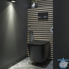 Унитаз подвесной безободковый Iddis Bild BILR2BMi25 с сиденьем Soft Close (микролифт) (черный матовый)