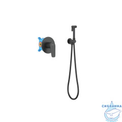 Смеситель с гигиеническим душем Aquatek Бетта AQ1119MB (черный матовый)