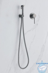 Встраиваемый смеситель с гигиеническим душем ABBER Emotion AF8825NG (никель)