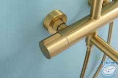 Душевая система Raglo 250 1 режим R20.26.03 (сатин золотой)