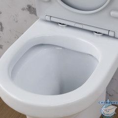 Унитаз напольный безободковый  Damixa Skyline с бачком и сиденьем Soft Close (микролифт) DX35C8600SC