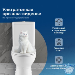 Унитаз напольный безободковый Aquanet Ray-C с бачком и сиденьем Soft Close (микролифт) 