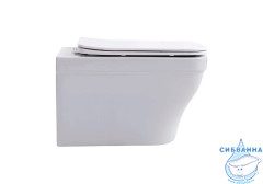 Унитаз подвесной безободковый Aquatek Амадео AQ1163-00 с сиденьем Soft Close (микролифт)