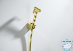 Гигиеническая лейка Aquatek AQ2054BG (золото шлифованное)