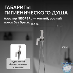 Смеситель ABBER Daheim AF8226SP с гигиеническим душем, сатин