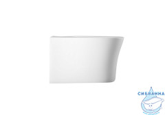 Биде подвесное Aquatek Ника AQ1009-00 (без сиденья)