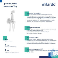 Встраиваемый смеситель с гигиеническим душем Milardo Tidy 001WTR0M08 (белый)