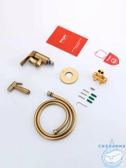 Встраиваемый смеситель с гигиеническим душем Raglo R07.52.03 (сатин золотой)