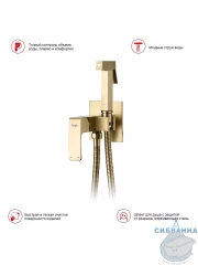 Встраиваемый смеситель Raglo R01.52.03 с гигиеническим душем (сатин золотой)