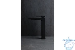 Смеситель для раковины Allen Infinity 265438 (черный матовый)