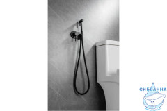 Встраиваемый смеситель с гигиеническим душем Allen Brau Priority 265362 (черный матовый)