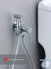 Встраиваемый смеситель с гигиеническим душем Raglo R20.54 (хром)
