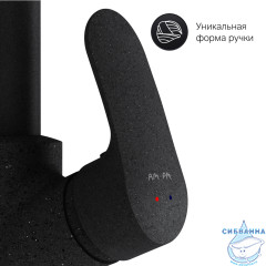Смеситель для кухни AM.PM Like F8006022 (черный матовый)
