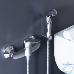 Смеситель с гигиеническим душем Damixa Jupiter 778000000 (хром)