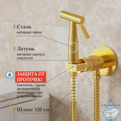 Смеситель Paini Castello Round CAPJ442R с гигиеническим душем (брашированное золото)