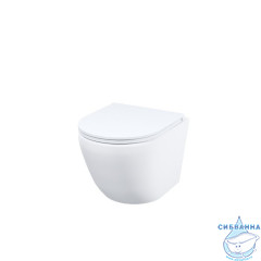 Унитаз подвесной безободковый, Blanco, IDDIS, BLARNSEi25