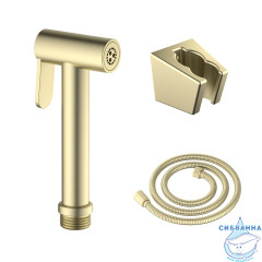 Гигиеническая лейка Aquatek AQ2054BG (золото шлифованное)