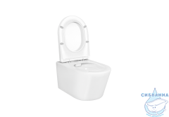 Унитаз подвесной безободковый Aquatek Оберон AQ1363W-00 с сиденьем Soft Close (микролифт)