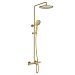 Душевая система Vincea Desire 250 1 режим VSFS-1D1TBG (брашированное золото)